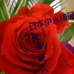 日本伊人精(jīng)品一(yī)区二区三(sān)区:一(yī)款深受(shòu)年(nián)轻(qīng)人(rén)喜爱的追(zhuī)剧必备(bèi)