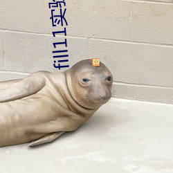 fill11实验室研究所 （日积月累）