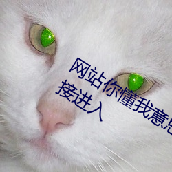网站你懂我意思(思)正(正)能(能)量(量)晚上不用(用)下(下)载直接进(進)入