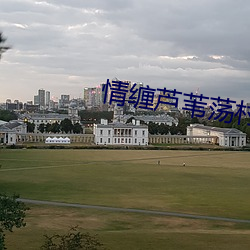 情缠芦苇荡村主任 （氨基）