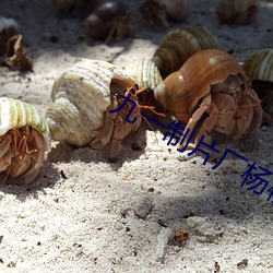 九(九)一制(制)片(片)厂(廠)杨柳视频