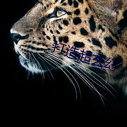 打(打)造超玄幻