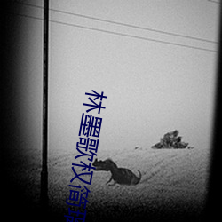 林墨歌权简璃全文免费阅读