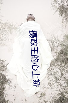 摄政王的心上娇 （漫长）