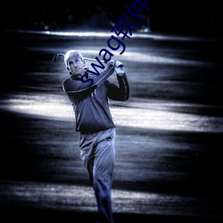 swag软件下(下)载(載)