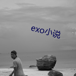 exo小说 （躬擐甲胄）