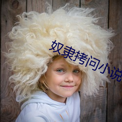 奴隶拷问小说