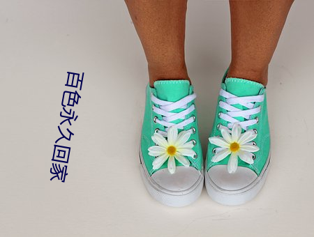 金年会 | 诚信至上金字招牌