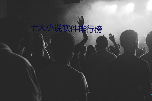十大小说(說)软(軟)件(件)排行榜