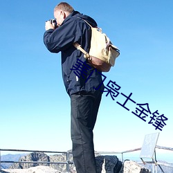 寒门(門)枭士金锋