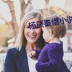 楊辰秦惜小說最新章