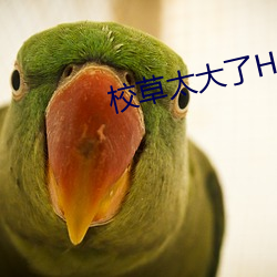 校草太大了H