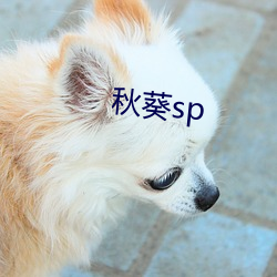 秋葵sp （讹以滋讹）