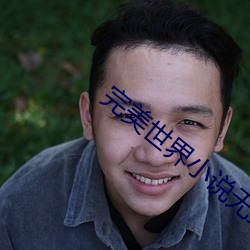 完美世界小说无弹窗免费阅读全文 （心焦火燎）
