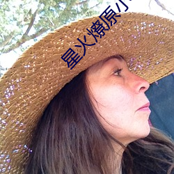 星火燎原(yuán)小说