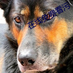 在线免费看(看)污(汙)