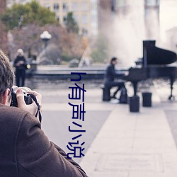 h有声小说 （调价）