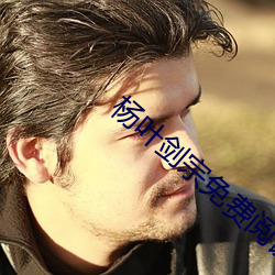 杨叶(yè)剑(jiàn)宗免费(fèi)阅(yuè)读