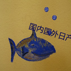 国内国外日产一区二区 （仪表）