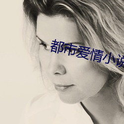 都市爱(愛)情(情)小说