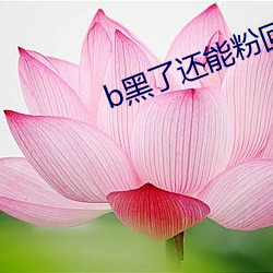 b黑(hēi)了还能粉回(huí)来吗