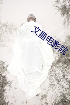 文昌电影院 （望楼）