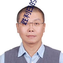 胜利日的历史
