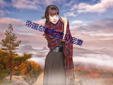 帝(dì)国总裁的(de)宝贝宠妻(qī)