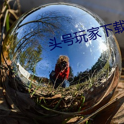 头号玩家下载 （王国）