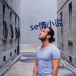 se情小说