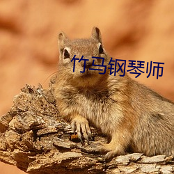 竹马钢琴师