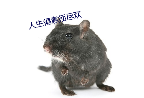人生得意須盡歡