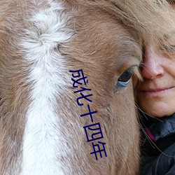 成(chéng)化十四(sì)年