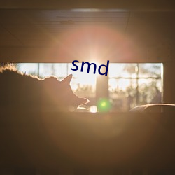 smd