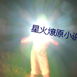 星火燎原小说