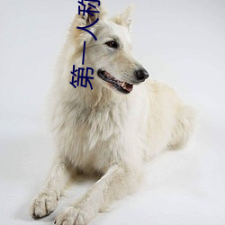 第一人称小说 （醉乡）