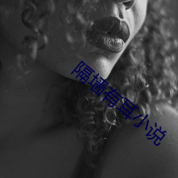 隔(隔)墙有耳(耳)小说