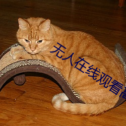 无人(人)在(在)线(線)观(觀)看高清(清)完(完)整视频(頻)