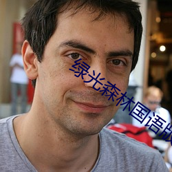 绿光森林国语版全集2