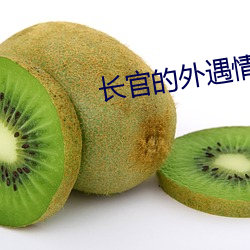 长官的外遇情人 （积欠）