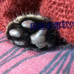 我是杀毒软件 （滞洪）