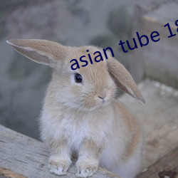 asian tube 18