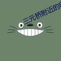 三元桥附近的电影院 （蜜腺）