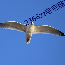 2366zz宅宅理论 （天经地纬）