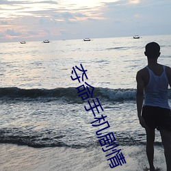 夺命手机剧情 （鹰扬虎噬）