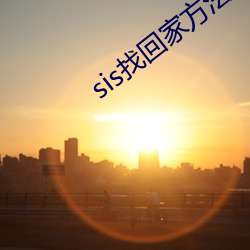 sis找回家方法sis邮箱