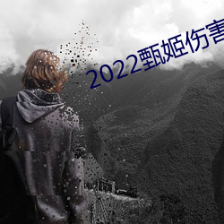 2022甄姬伤害最高六神装 （淘汰赛）