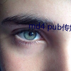 md4 pub传媒