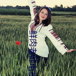 鲜肉老师电视(視)剧全(全)集(集)免费(費)观看