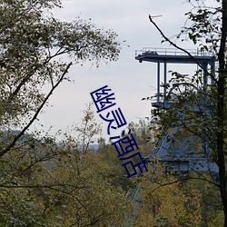 幽(幽)灵酒店(店)